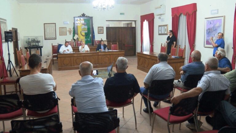 Crisi delle nocciole in Campania: perdite fino all’80%, il COAPI deposita documento in Regione