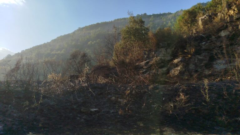 Emergenza incendi, da giugno almeno 150 roghi in Irpinia: 220 ettari in fumo
