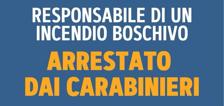 Arresto piromane a Montemiletto, Piantedosi: “Rischia fino a 15 anni di carcere”