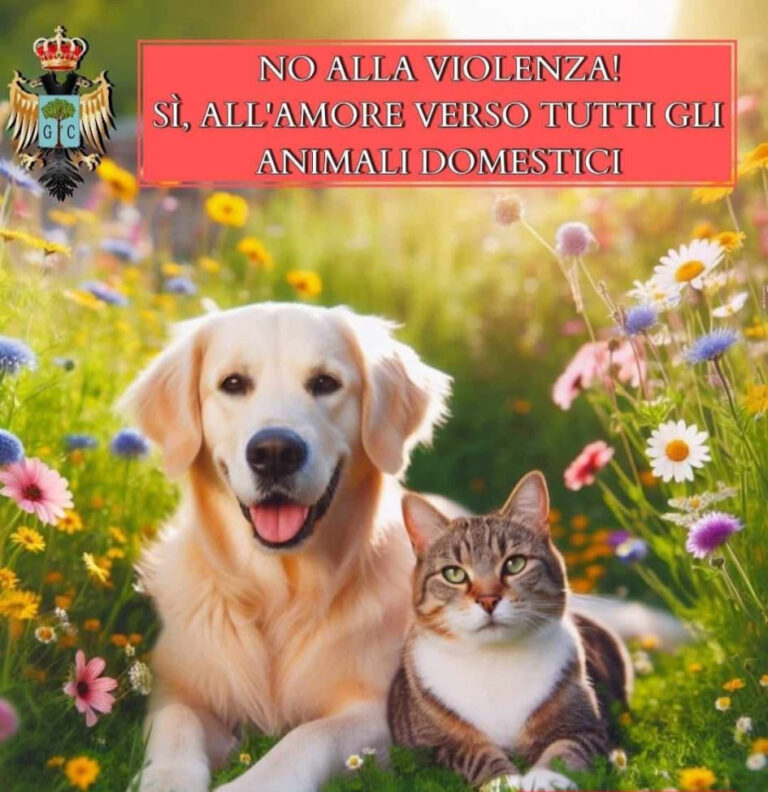 Grottolella, il comune lancia la campagna “No alla violenza  si all’amore verso gli animali domestici”