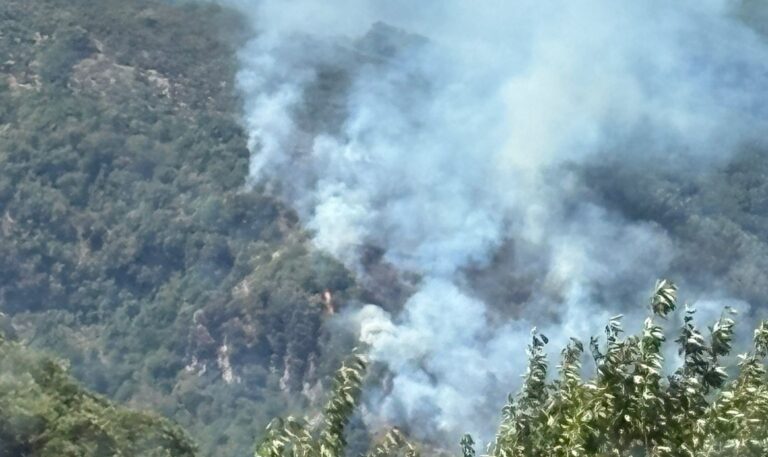 Piromani scatenati nel Vallo, ancora fiamme a Moschiano e Quindici