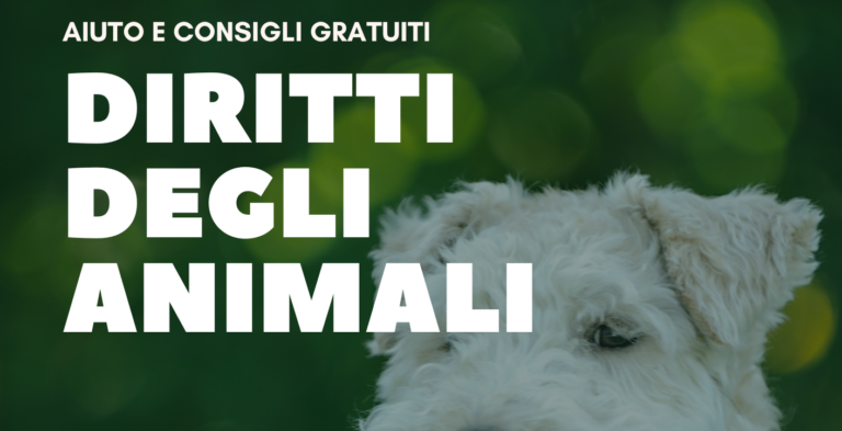Nasce ad Avellino lo sportello gratuito dedicato al mondo animale