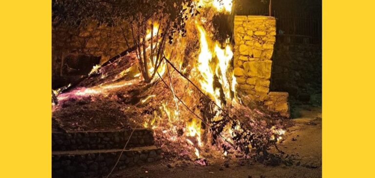Tiglio Monumentale del Soccorso, Legambiente denuncia: “Gesto criminale”