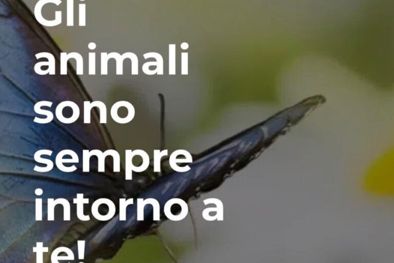 Grottolella celebra la Giornata degli Animali
