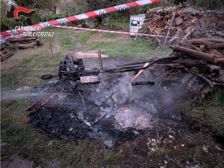 Sorpreso a bruciare rifiuti: denunciato un agricoltore