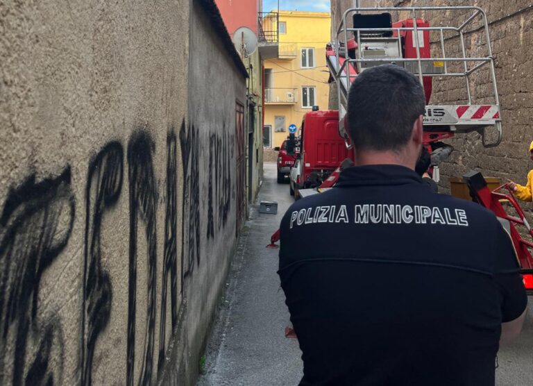 Avella, sciame d’api in via  Buongiovanni: intervengono Polizia Municipale e Vigili del Fuoco