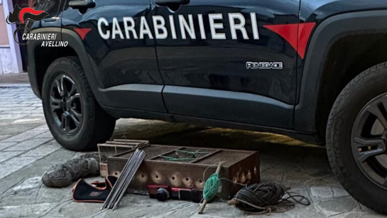 Uccellagione: denunciato dai Carabinieri un 60enne. Sequestrate attrezzature e liberati 8 cardellini