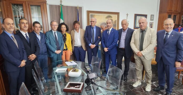 WhatsApp Image 2025-09-16 at 15.38.12