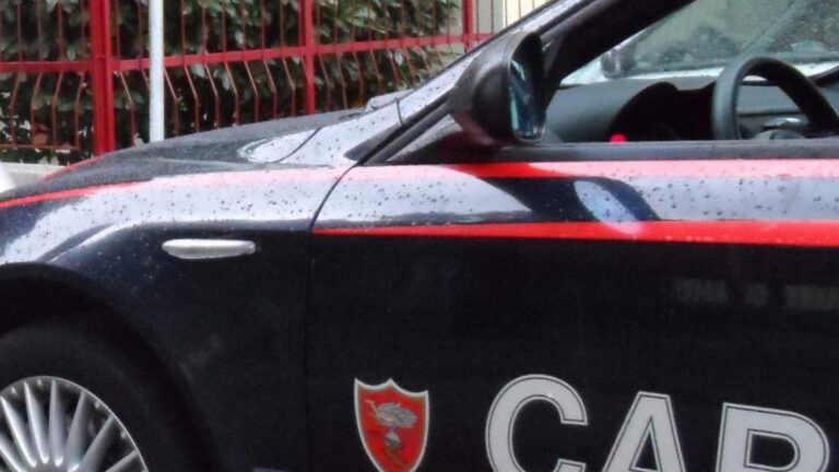 Serra artigianale in camera da letto: denunciata dai Carabinieri una 30enne per detenzione e coltivazione di stupefacenti
