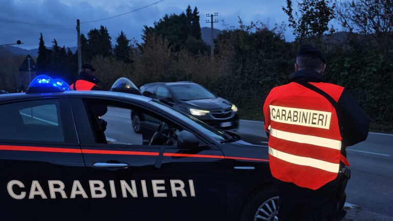 Carabinieri intensificano i controlli contro furti e droga, con l’ausilio di unità speciali