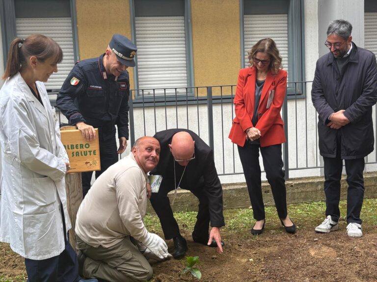Ariano, il ficus di Falcone donato dai Carabinieri all’ospedale Frangipane-Bellizzi