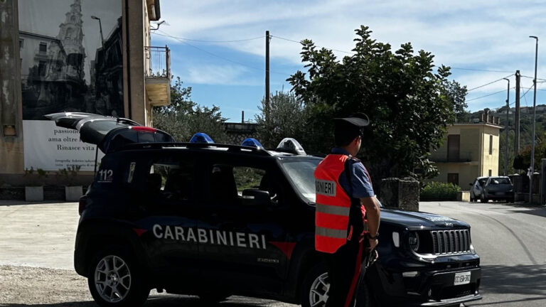 Controlli a tappeto dei Carabinieri: sequestri, denunce ed espulsione di una cittadina irregolare