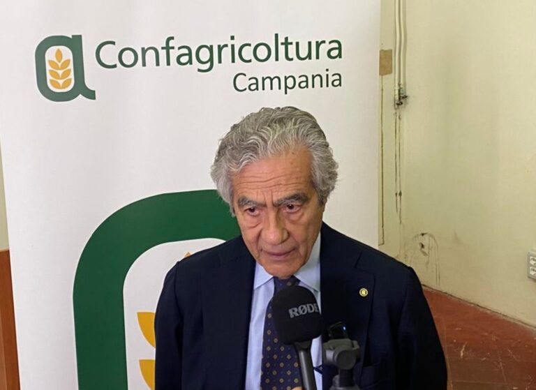 Vendemmia e mancanza di manodopera, Confagricoltura Campania: “Avellino tra le province più colpite”