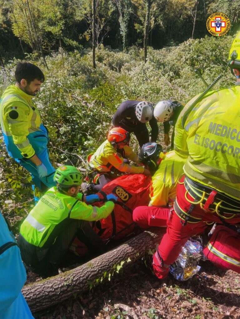 Operaio colpito da un ramo durante la potatura a Montella