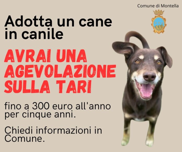 cane montella