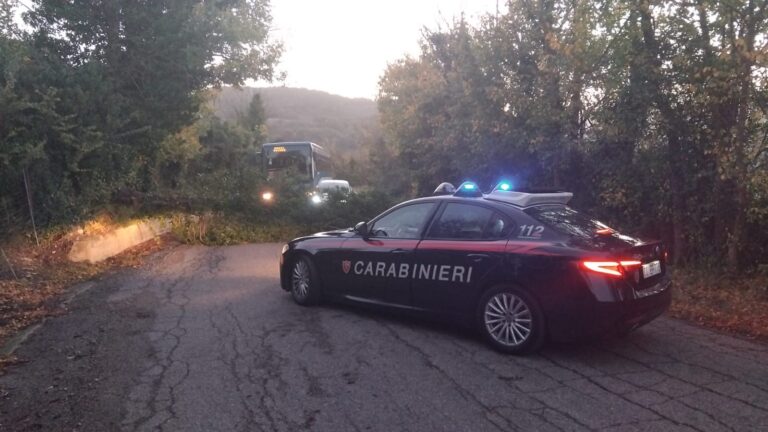 Greci, intervento di Carabinieri e Vigili del Fuoco per albero caduto sulla SP58