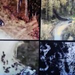 591409354_1155861566753928_8415659753852494822_n