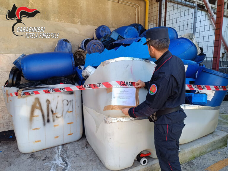 I Carabinieri denunciano il titolare di un’azienda conciaria e sequestrano 15 metri cubi di rifiuti speciali pericolosi