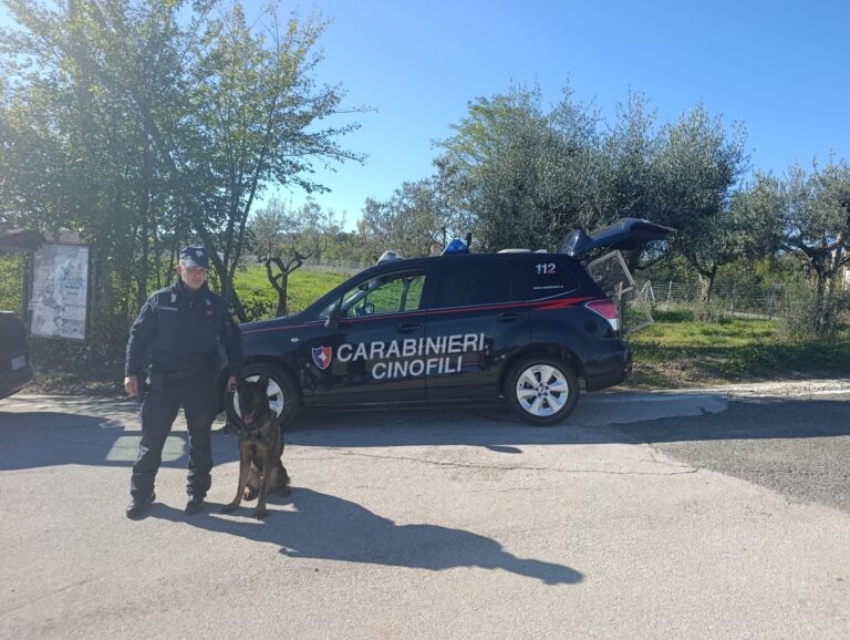 Pietradefusi: i Carabinieri arrestano un pusher straniero che deteneva oltre 70 grammi di hashish