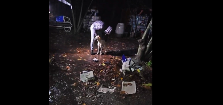 Blitz di Enrico Rizzi a Baiano sotto la pioggia per salvare alcuni cani da caccia