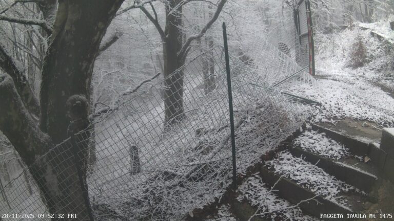 Partenio immerso nell’aria invernale: immagini dall’Osservatorio