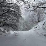 neve irpinia
