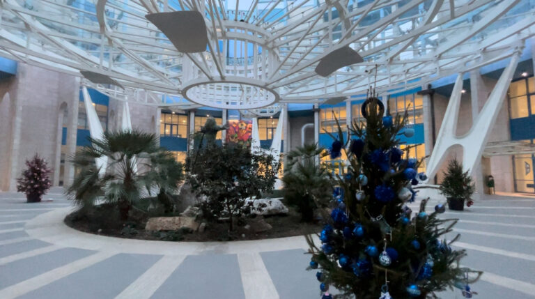 Moscati, martedì le volontarie di The Power of Pink con le palline colorate della speranza