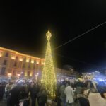 albero piazza libertà