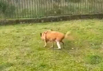 Schermata 2025-12-02 alle 16.57.10