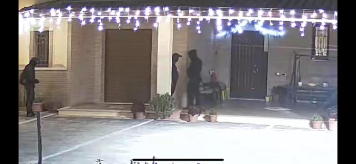 WhatsApp Image 2025-12-11 at 14.54.08