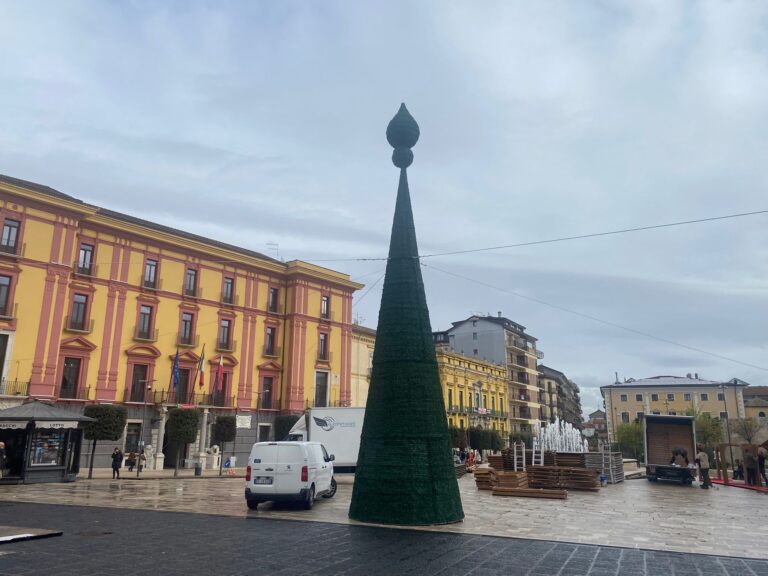 Albero, luminarie, videomapping e giochi d’acqua: al via il Natale in città