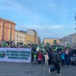 Fonderia Luogosano ambientalisti