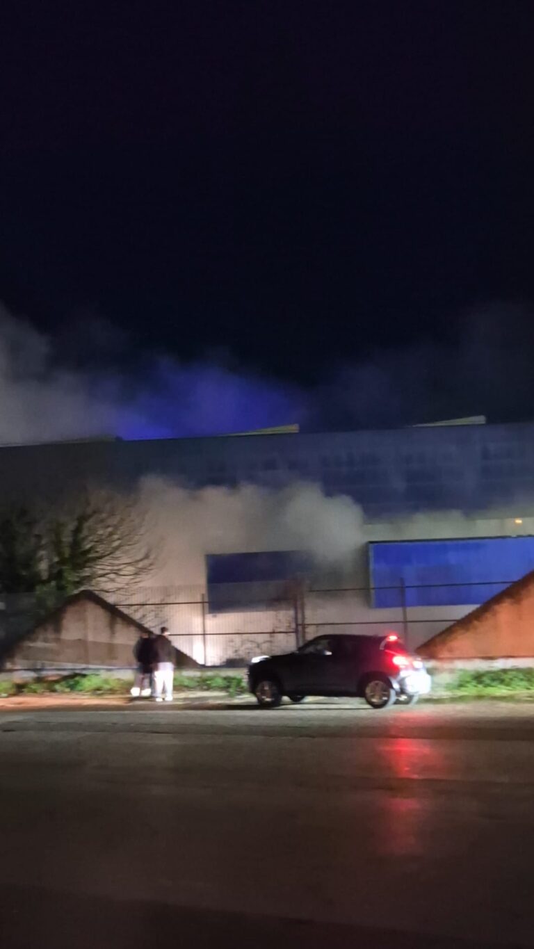 Fiamme nel perimetro esterno della Fca: indagini in corso dei Vigili del Fuoco