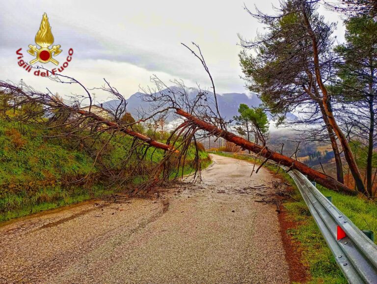 FOTO/ Maltempo: circa 40 interventi dei Vigili del Fuoco tra città e provincia