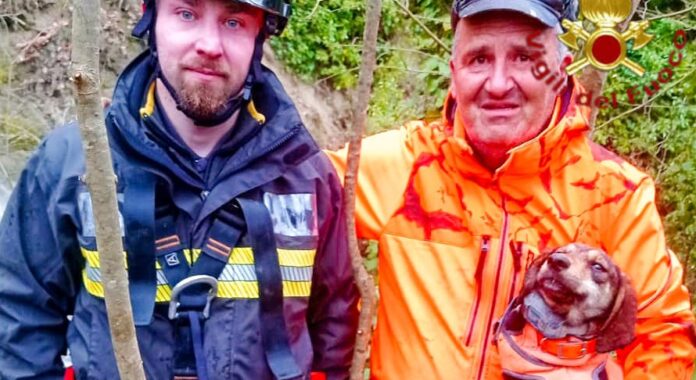 WhatsApp Image 2026-01-19 at 15.03.26