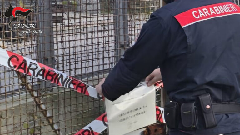 Flumeri, Carabinieri sequestrano capannone abusivo di circa 400 metri quadrati