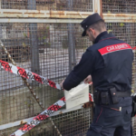 Immagine 2026-02-04 124115