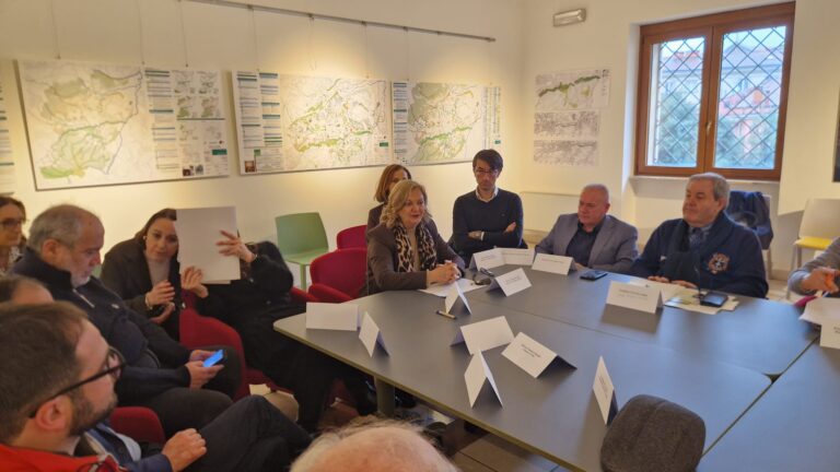 Consulta Argento, Perrotta: “Valorizzare il patrimonio di esperienza degli anziani”