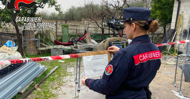 Gestione illecita di rifiuti speciali pericolosi: una denuncia