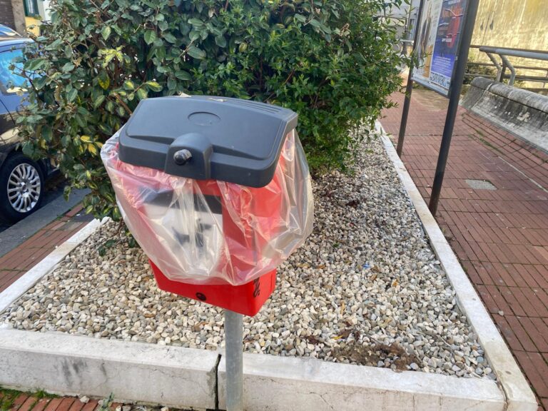 FOTO/ Via Verdi sommersa dalle deiezioni canine: aiuole trasformate in latrine a cielo aperto