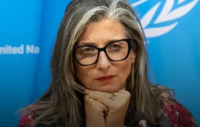 francesca albanese onu