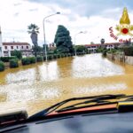 WhatsApp Image 2026-02-17 at 14.48.52 (1)