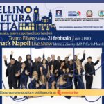 WhatsApp Image 2026-02-19 at 12.59.05