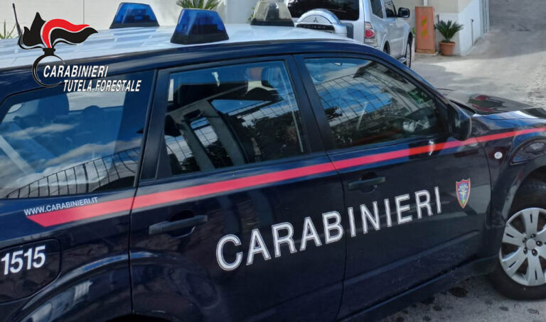 Solofra, inquinamento fiume Sarno: Carabinieri denunciano imprenditore
