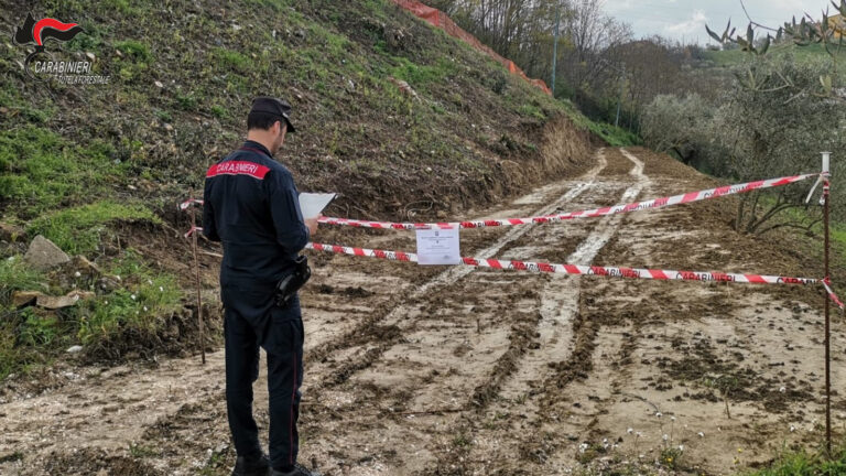 Ariano, realizzano strada in mezzo a uliveti: tre denunciati dai Carabinieri