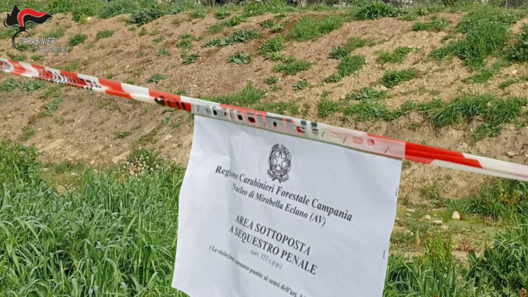 I Carabinieri sequestrano un terreno di 100 mq. Denunciato il proprietario