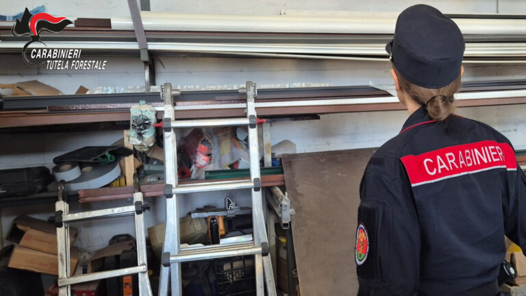 Avella, Carabinieri denunciano artigiano: azienda sequestrata