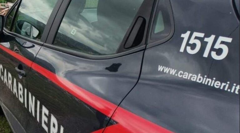 Monteforte Irpino, maltrattamento di animali: due denunciati dai Carabinieri