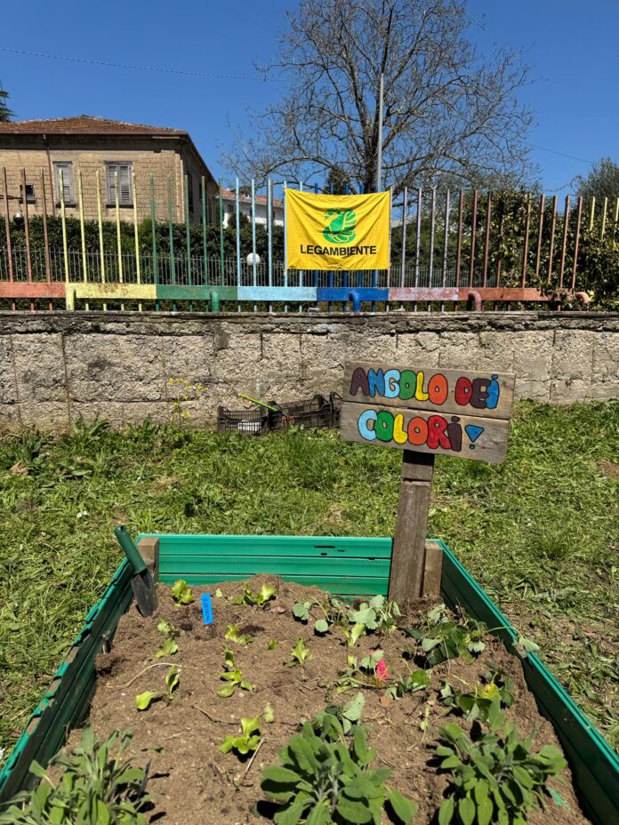 LA SCUOLA SI FA BELLA LEGAMBIENTE AVELLINO (4)