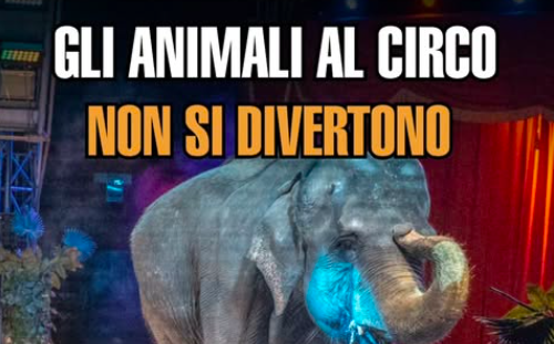 Schermata 2026-04-03 alle 11.31.09